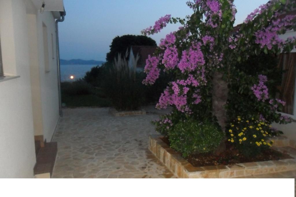 Apartment Nada Zadar